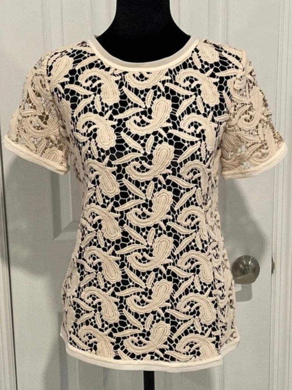 LOFT Women’s Ivory Lace Short Sleeve Top XS